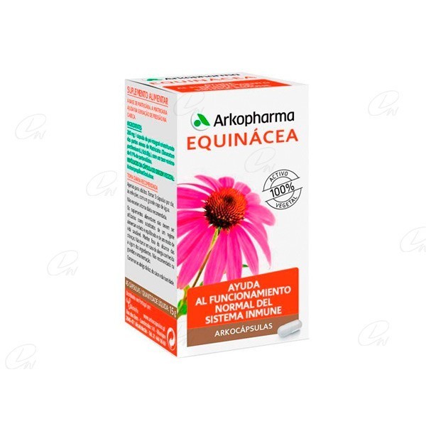 ARKOCAPSULAS ECHINACEA 250 mg CAPSULAS DURAS, 50 cápsulas